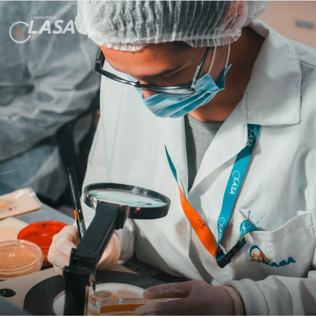 TÉCNICAS BÁSICAS DE MICROBIOLOGÍA EN ALIMENTOS